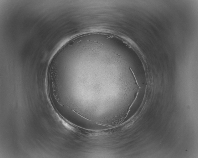 X0000060581294200511031326