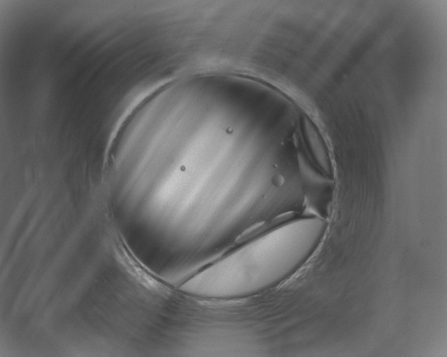 X0000060581296200511031326