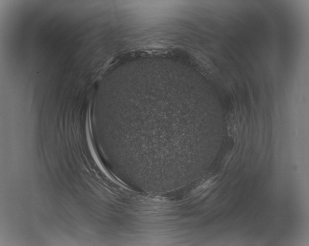 X0000060581298200511031325