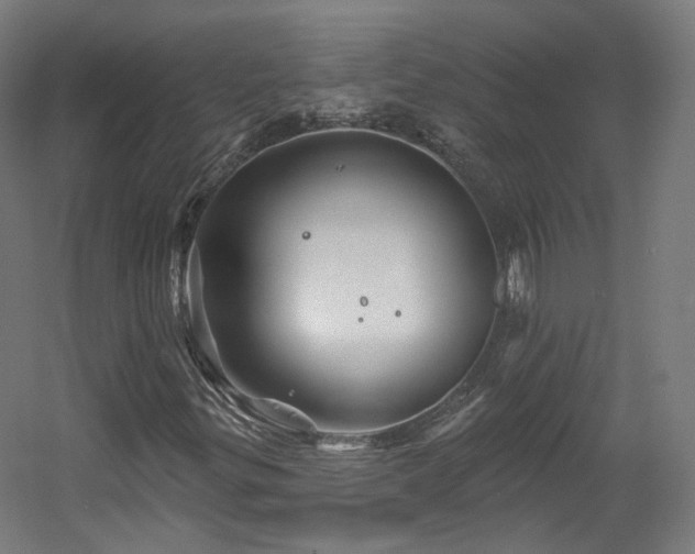 X0000060581299200511031325