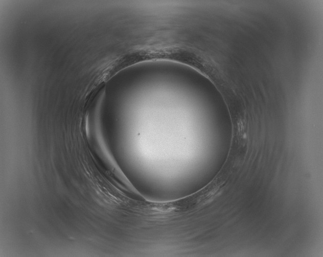 X0000060581300200511031325