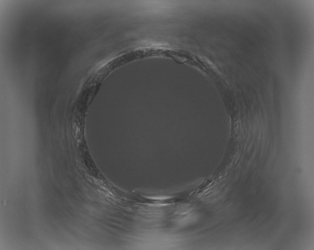 X0000060581303200511031325