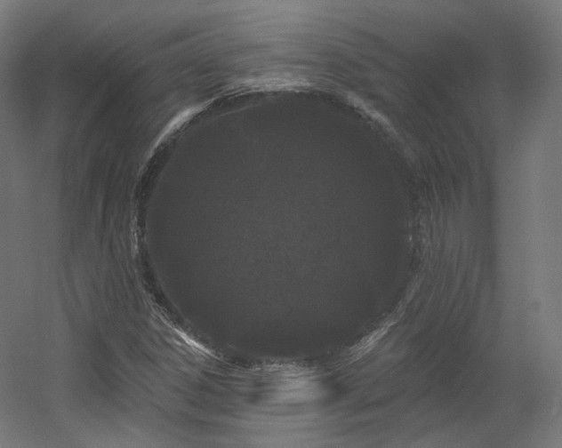 X0000060581306200511031325