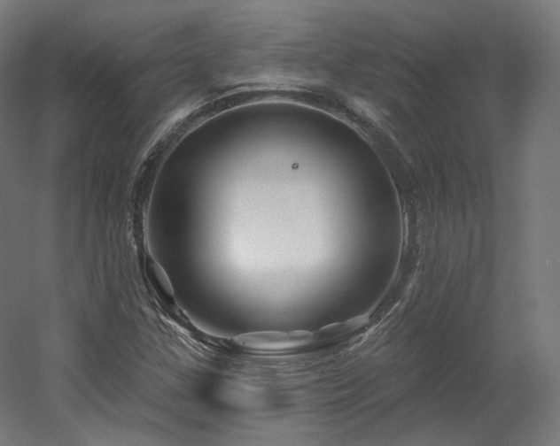 X0000060581307200511031325