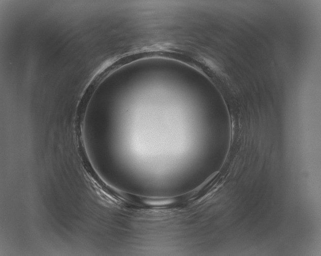X0000060581308200511031325