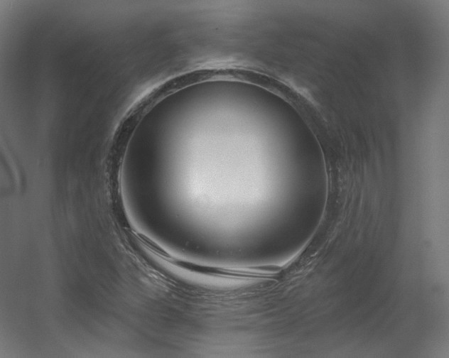 X0000060581311200511031325