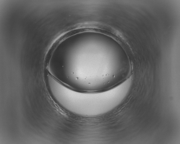 X0000060581312200511031325