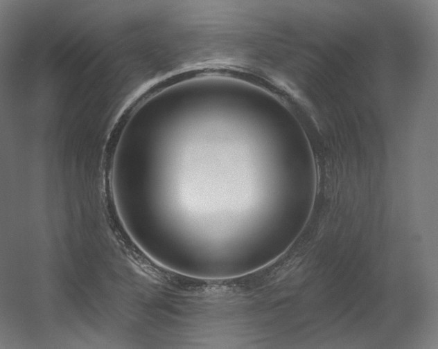 X0000060581316200511031325