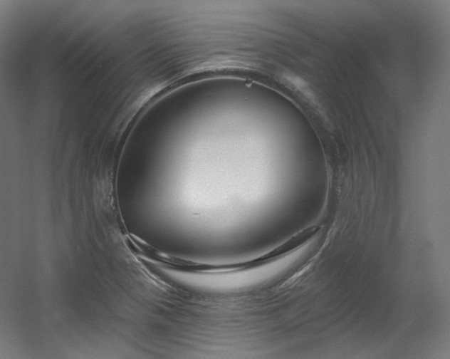 X0000060581321200511031326