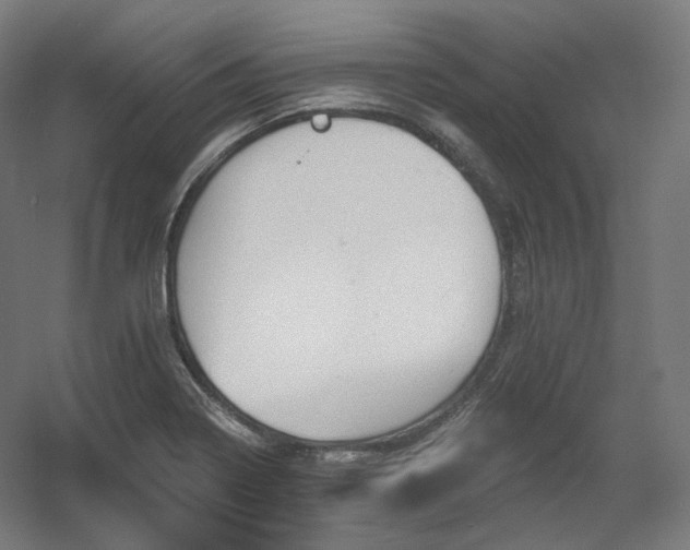 X0000060581322200511031326