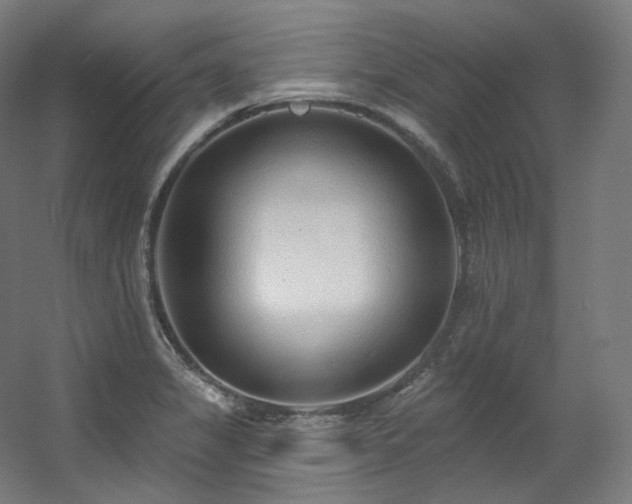 X0000060581325200511031326