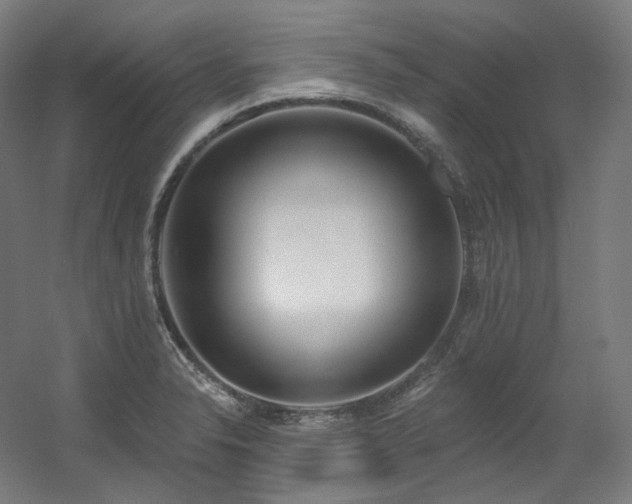 X0000060581326200511031326
