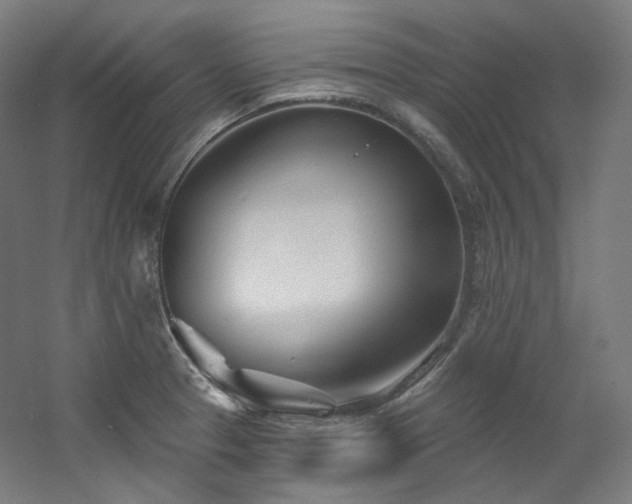 X0000060581329200511031326