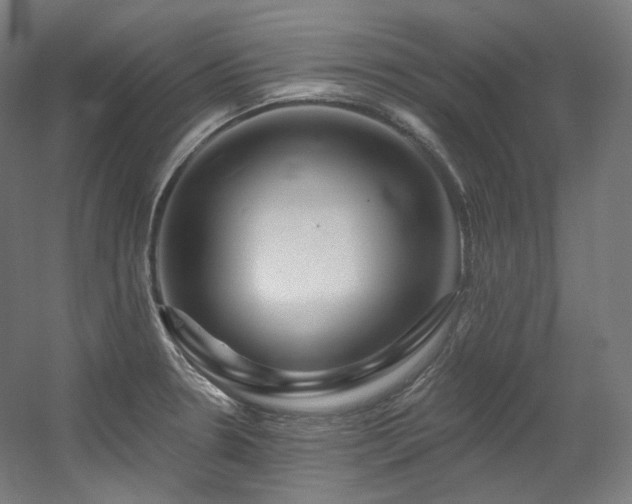 X0000060581330200511031326