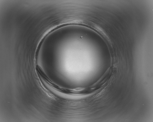 X0000060581332200511031326