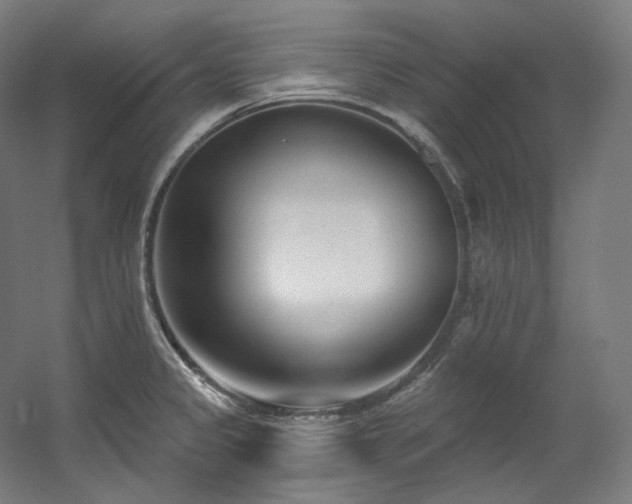 X0000060581333200511031326