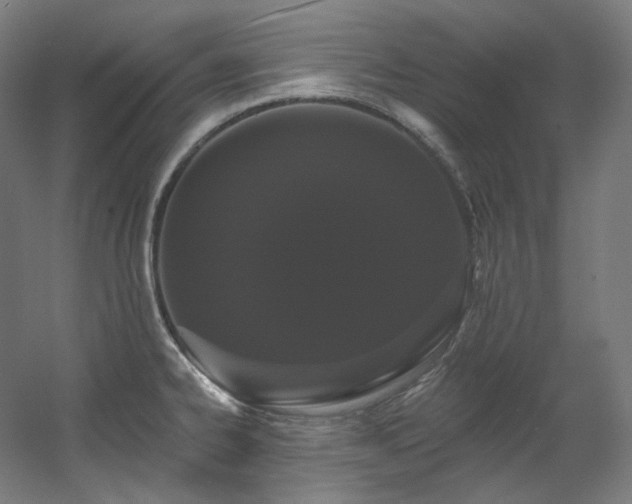 X0000060581334200511031326