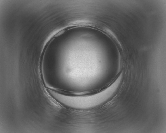 X0000060581336200511031326