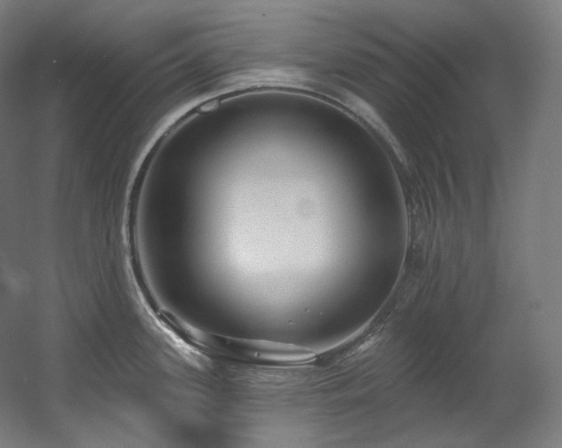 X0000060581339200511031326