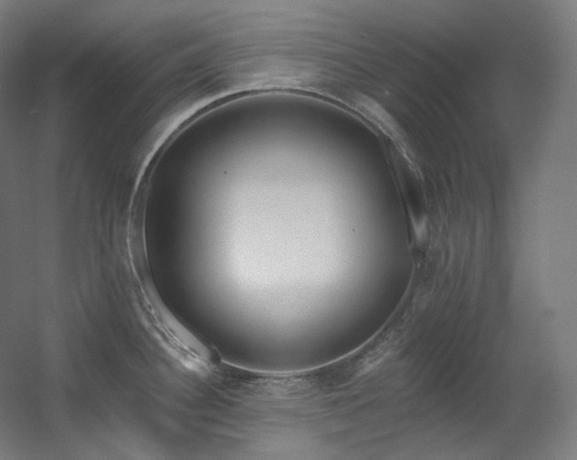 X0000060581340200511031326