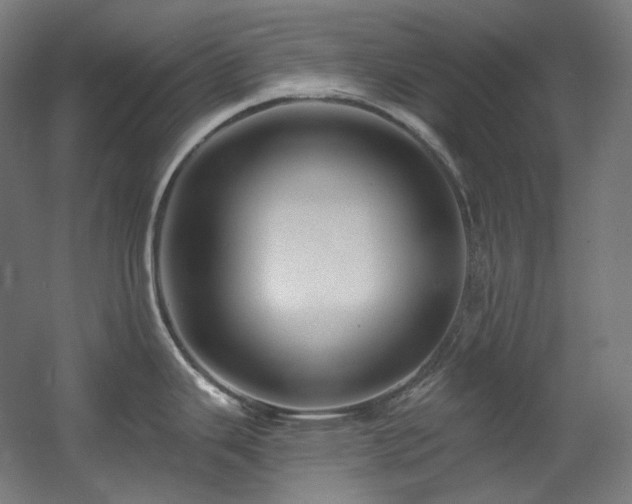 X0000060581343200511031326
