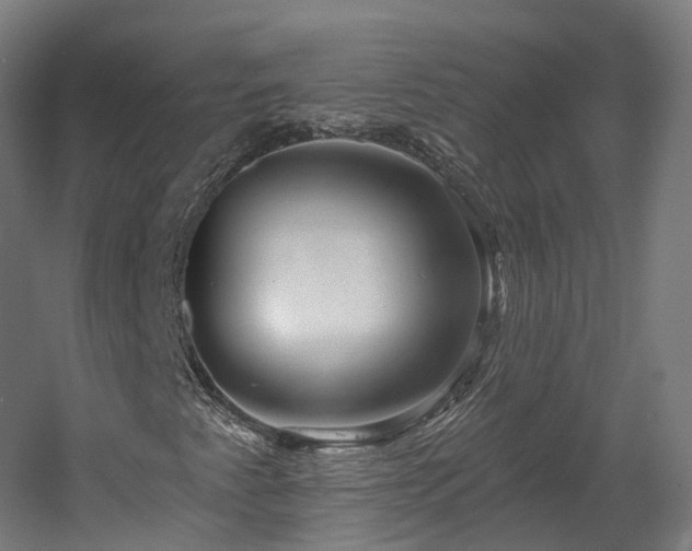 X0000060581345200511031325