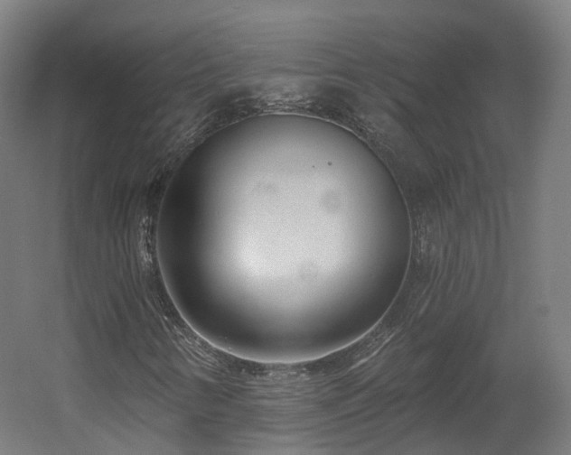 X0000060581346200511031325