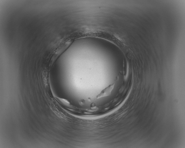 X0000060581348200511031325