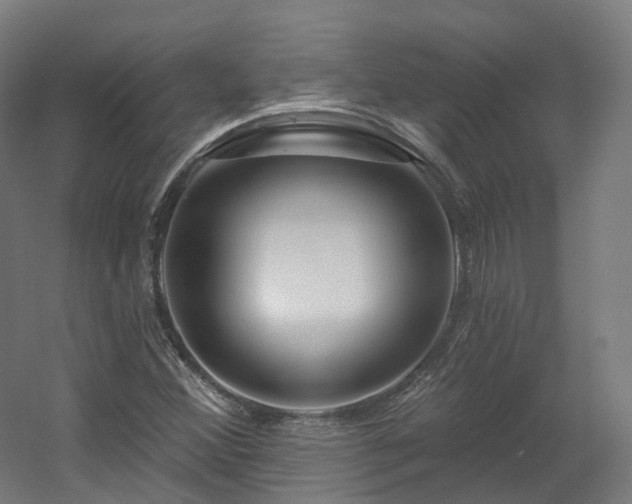 X0000060581356200511031325