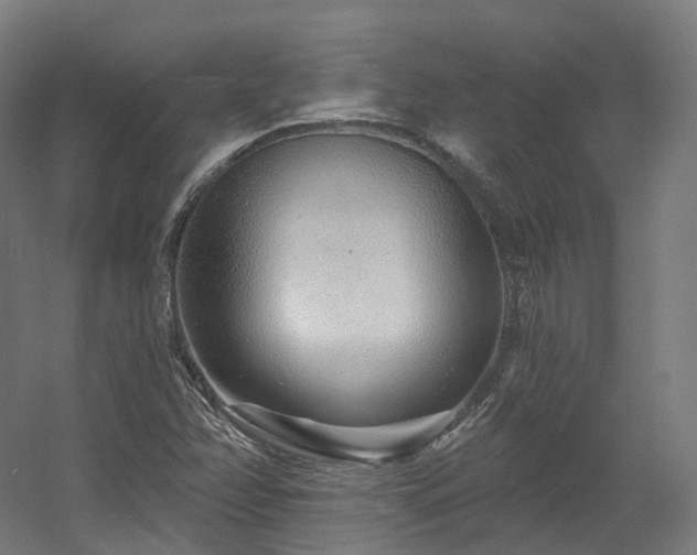 X0000060581358200511031325