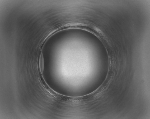 X0000060581361200511031325