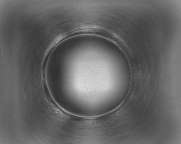 X0000060581362200511031325