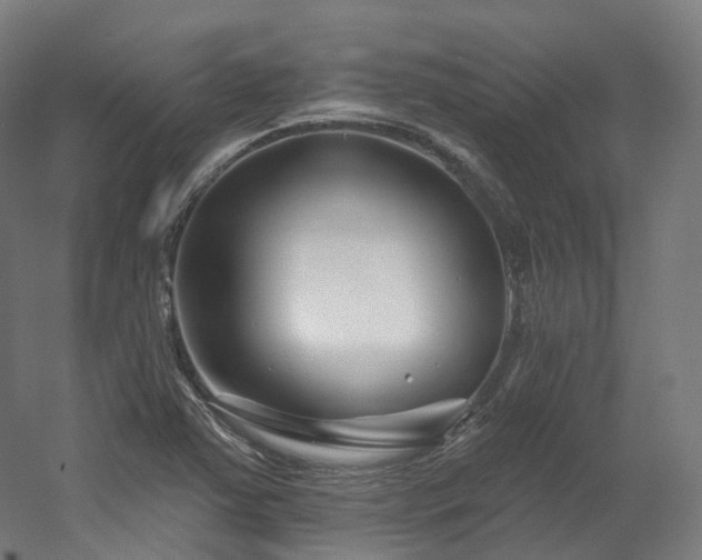 X0000060581363200511031325