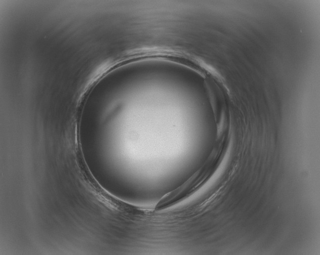 X0000060581365200511031325