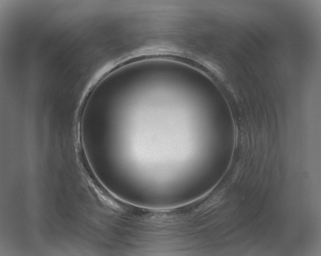 X0000060581366200511031325