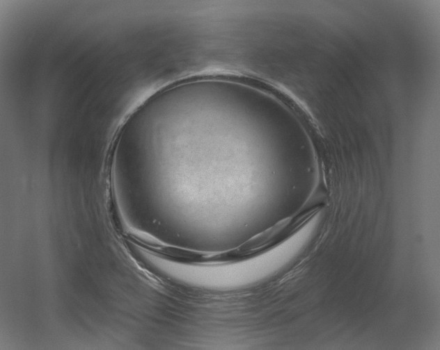 X0000060581367200511031325