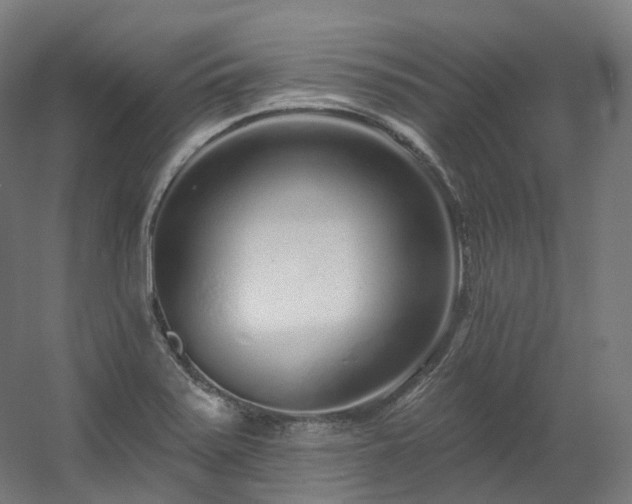 X0000060581371200511031325