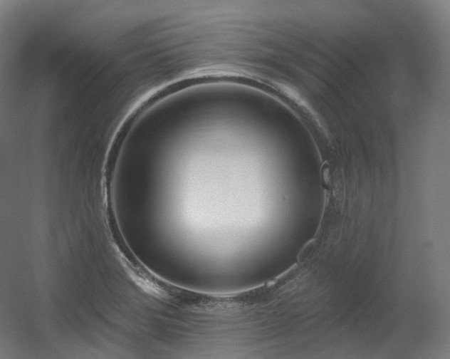 X0000060581372200511031325