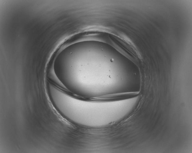 X0000060581376200511031325