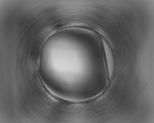 X0000060581377200511031325