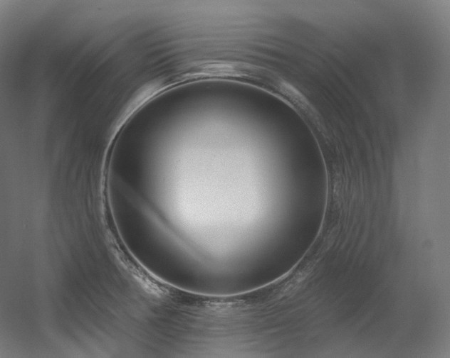 X0000060581378200511031325