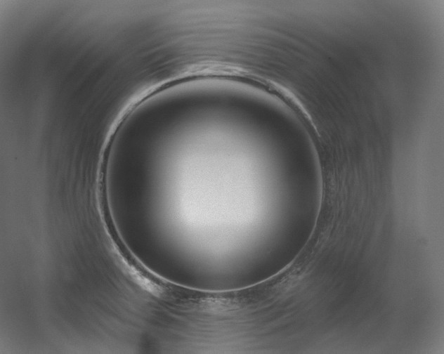 X0000060581379200511031325
