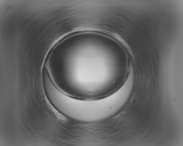 X0000060581380200511031325