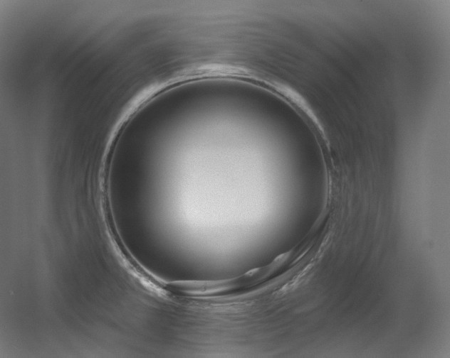 X0000060581381200511031325