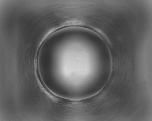 X0000060581383200511031324