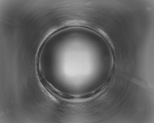 X0000060581384200511031324