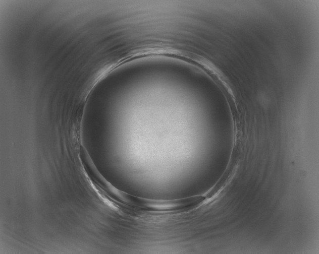 X0000060581385200511031324