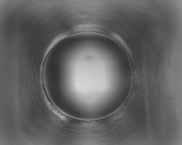 X0000060581386200511031324