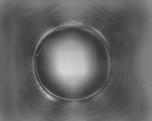 X0000060581387200511031324