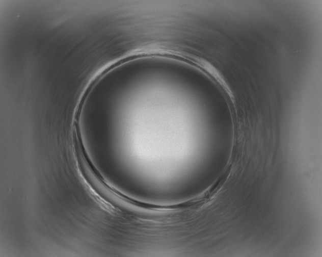 X0000060581388200511031324